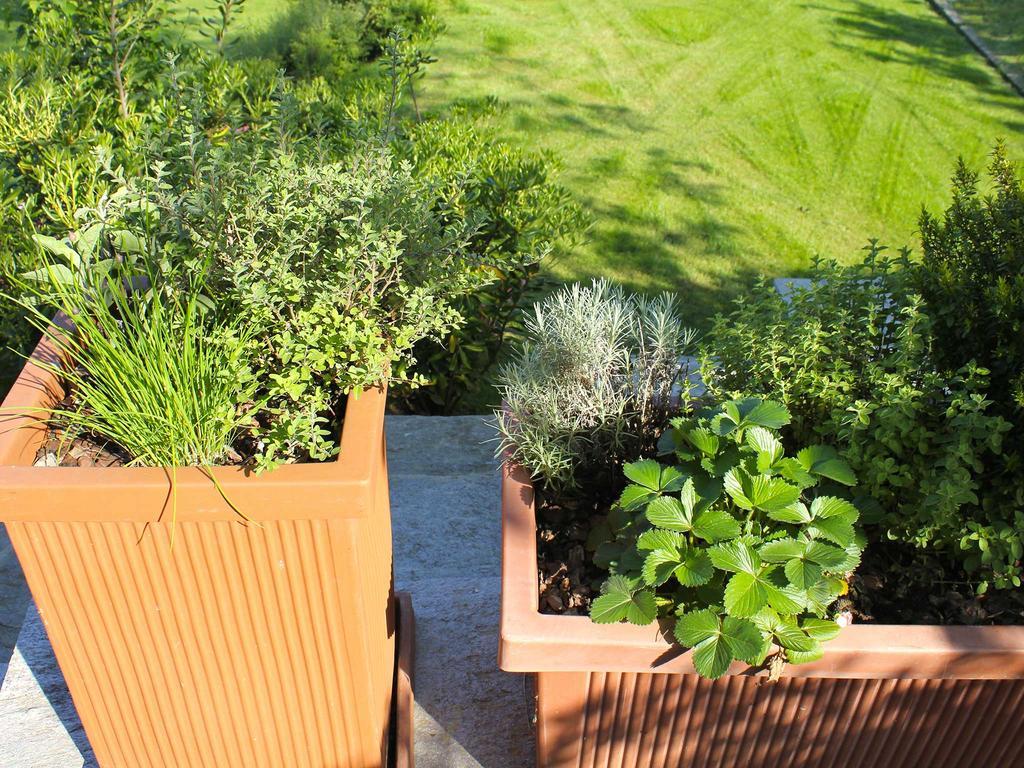 Villa Rubino Apartment Con Giardino E Jacuzzi Vista Lago Stresa Buitenkant foto
